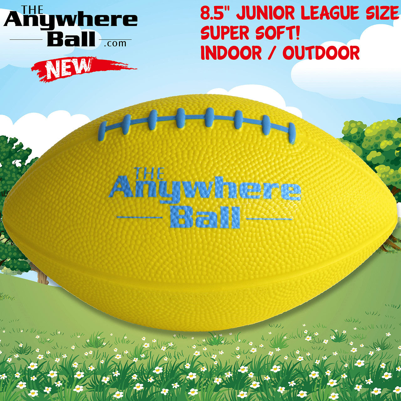 The Anywhere Ball