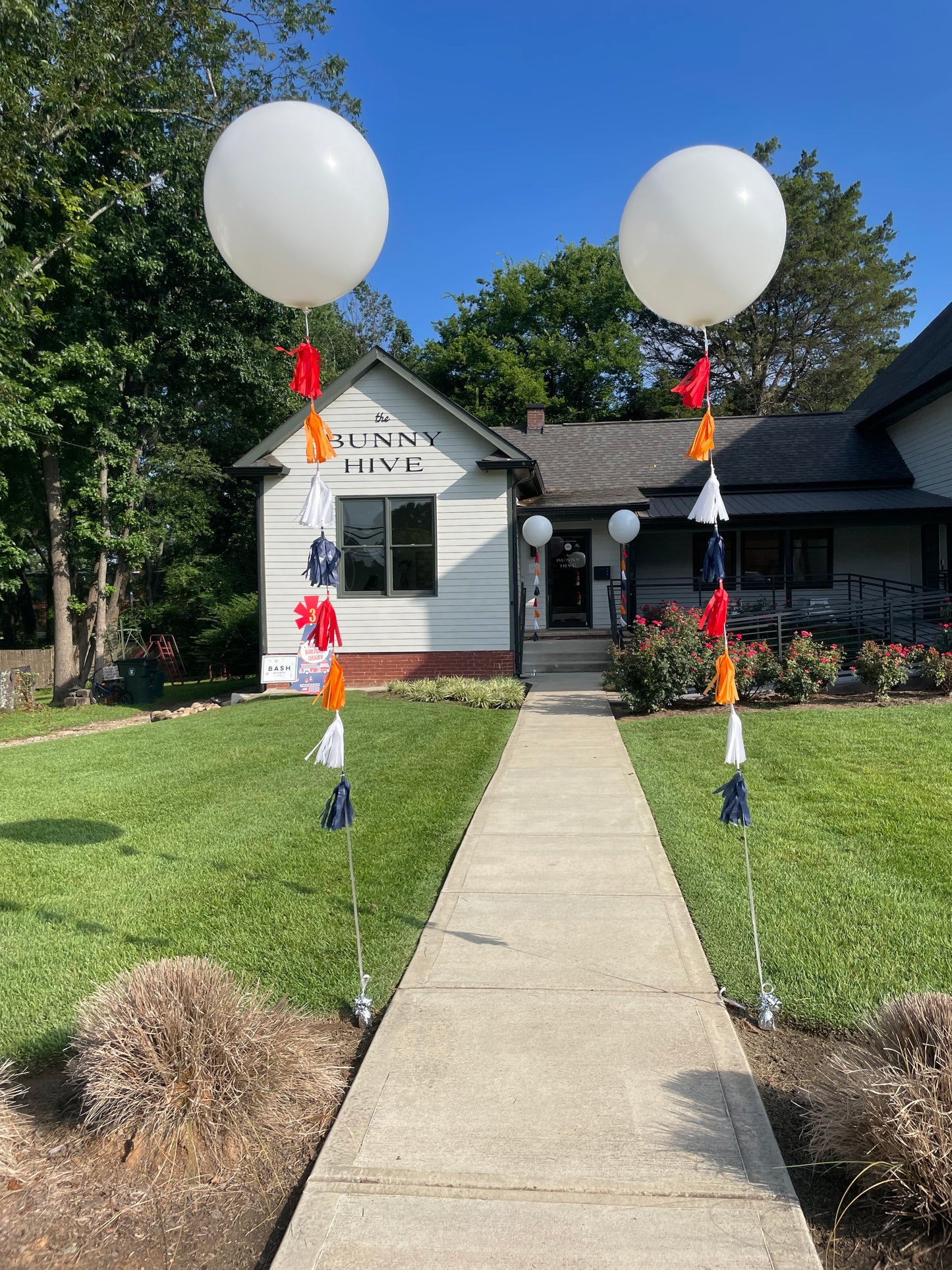 24'' Latex Balloons with Helium