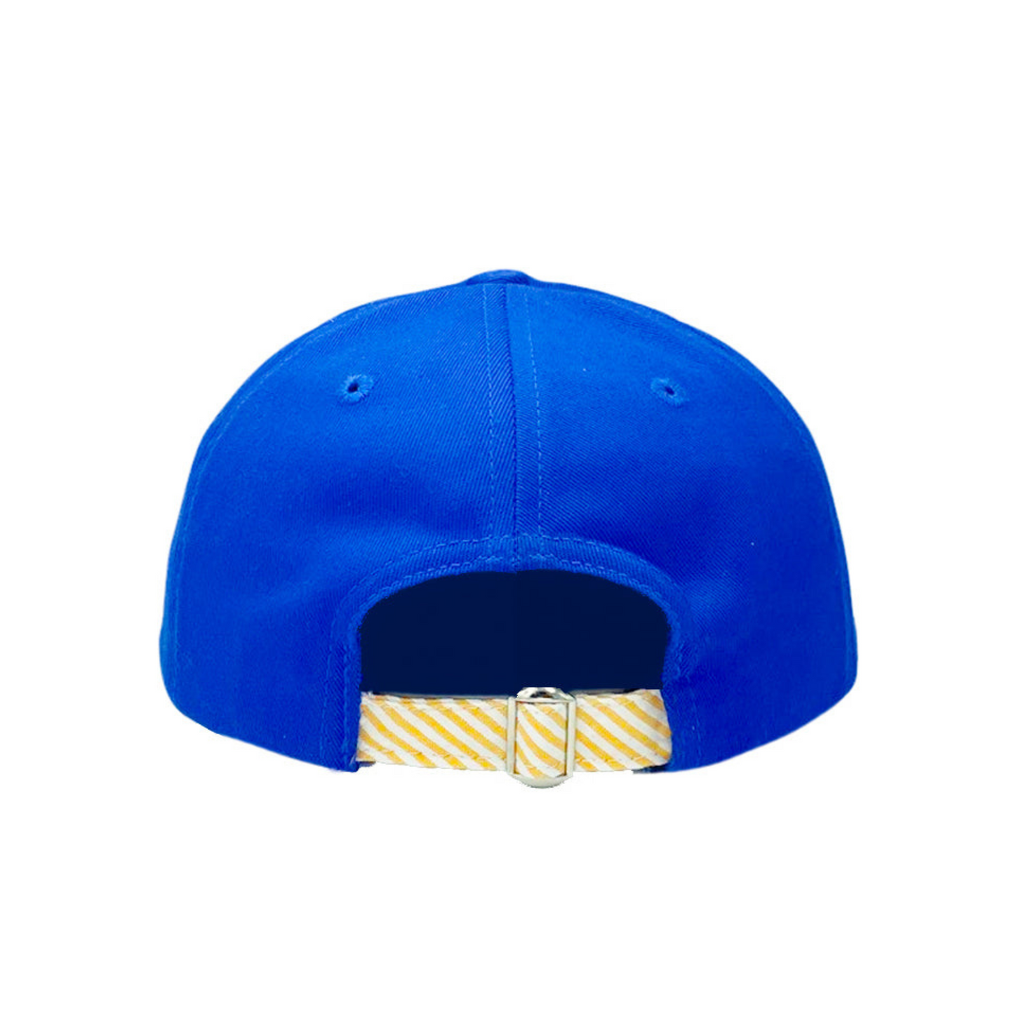 Sports Baseball Hat