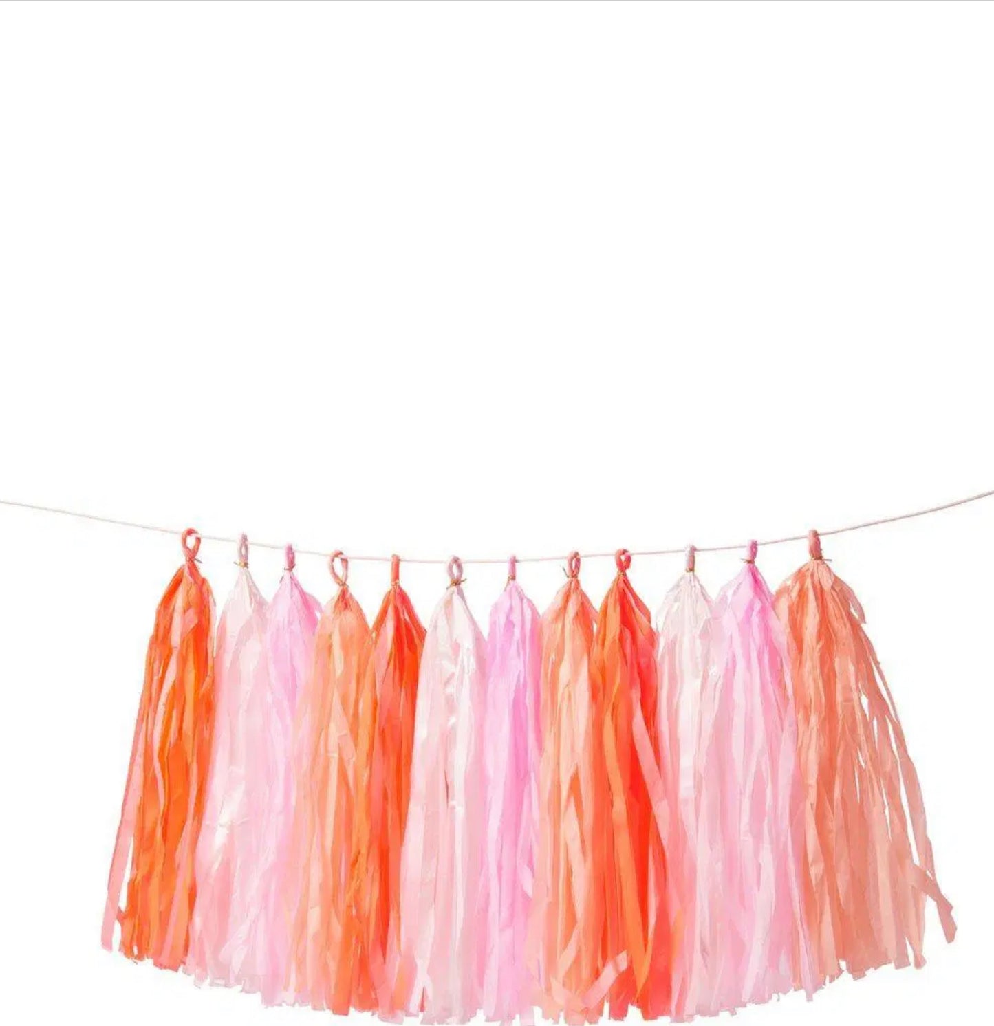 Pink Tassel Garland