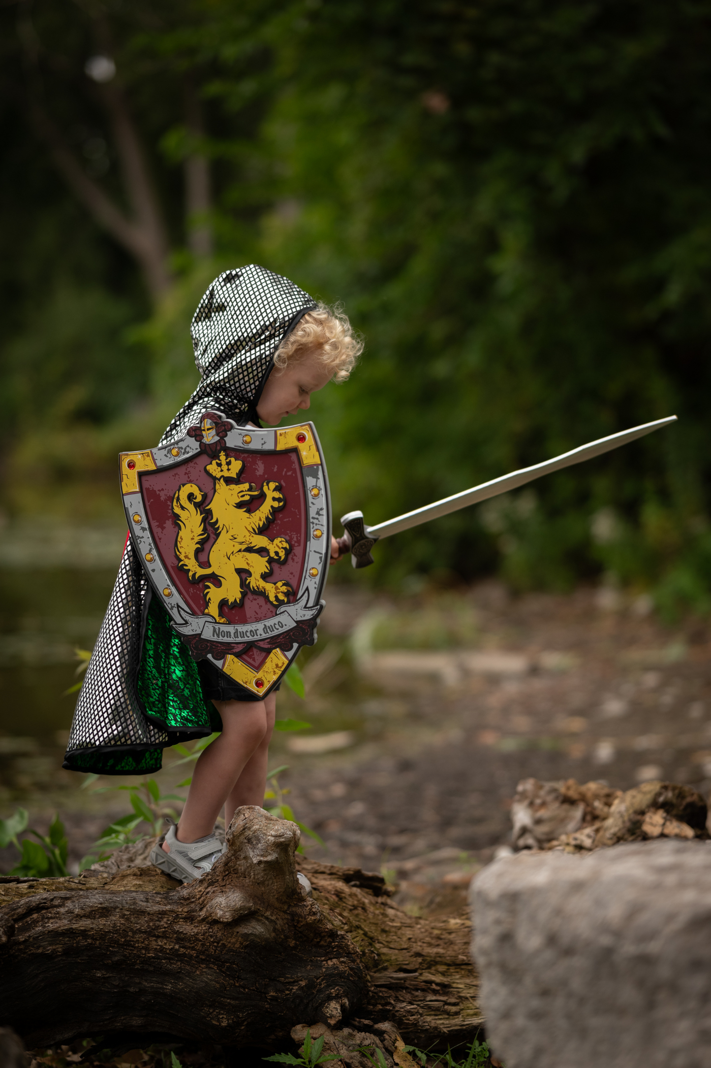 Viking Sword