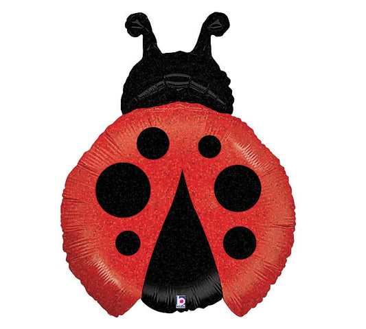 Ladybug Balloon