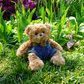 Mavi Bear