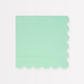 Sea Foam Green Large Napkins