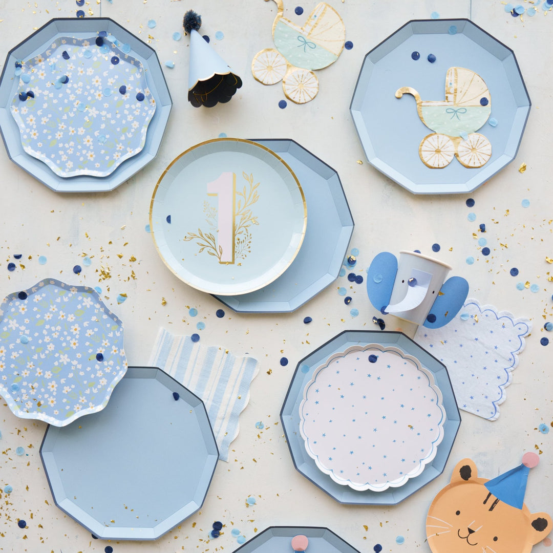 Sky Blue Dinner Plates