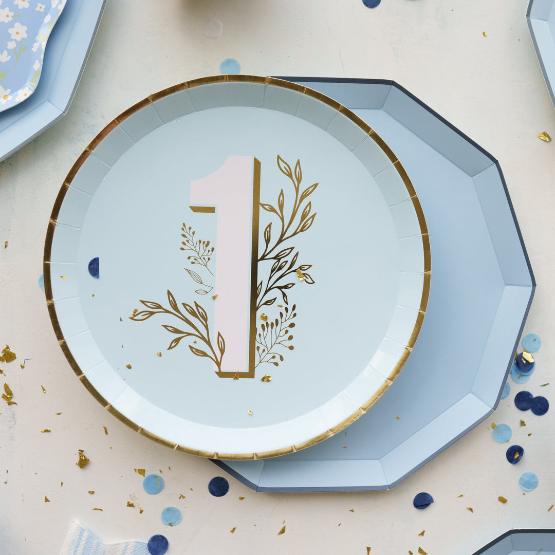 Sky Blue Dinner Plates