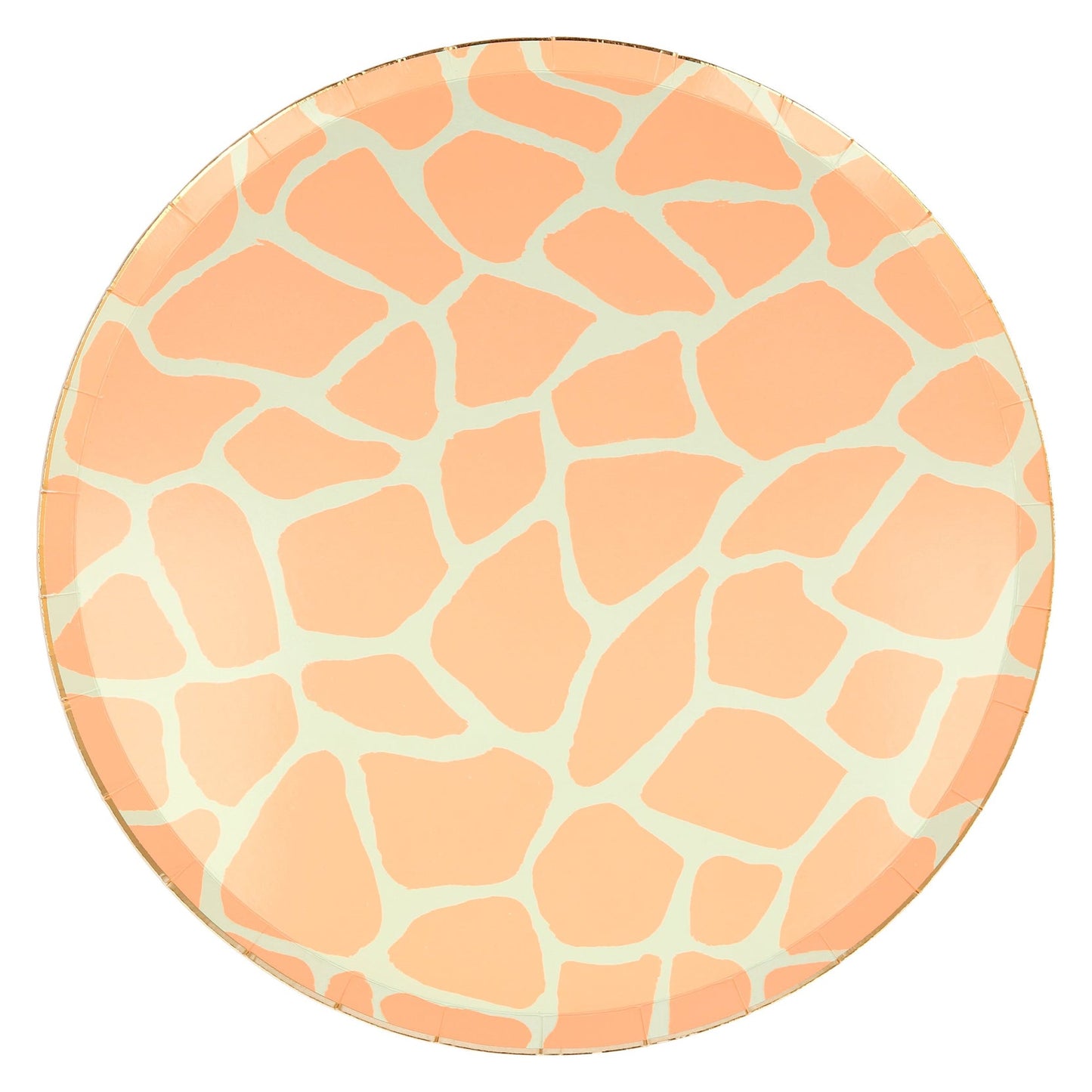 Safari Animal Print Plates