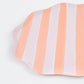 Pastel Stripe Dinner Plates