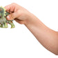 Squeezable Dinosaurs