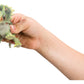 Squeezable Dinosaurs