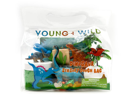 Dinosaur Sensory Dough Bag