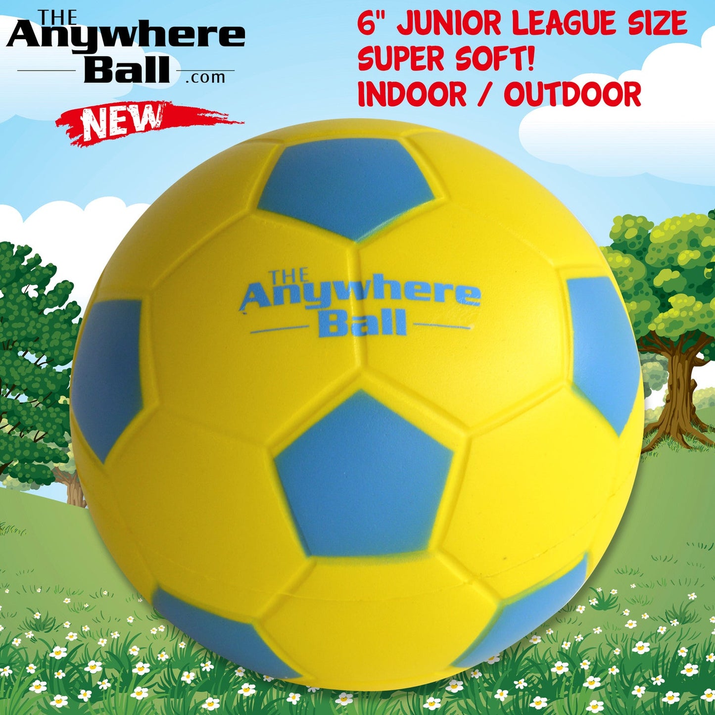 The Anywhere Ball